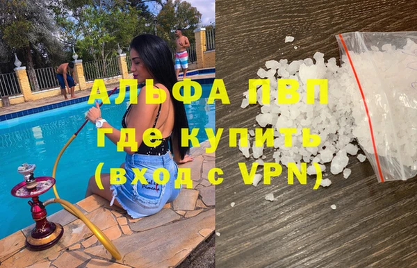 гидра Алексин