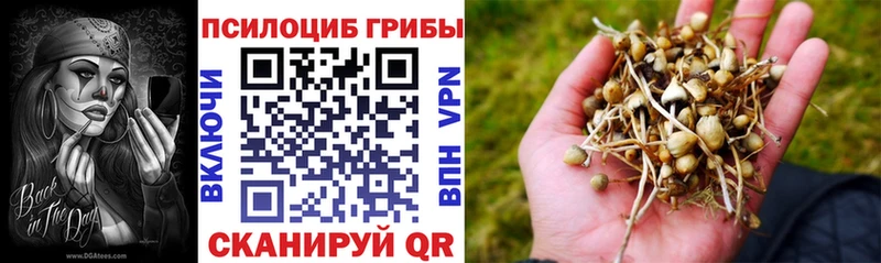 Псилоцибиновые грибы мухоморы Пенза