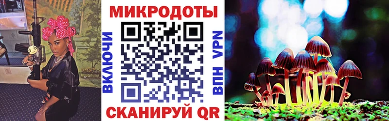 Галлюциногенные грибы Psilocybine cubensis  Пенза 