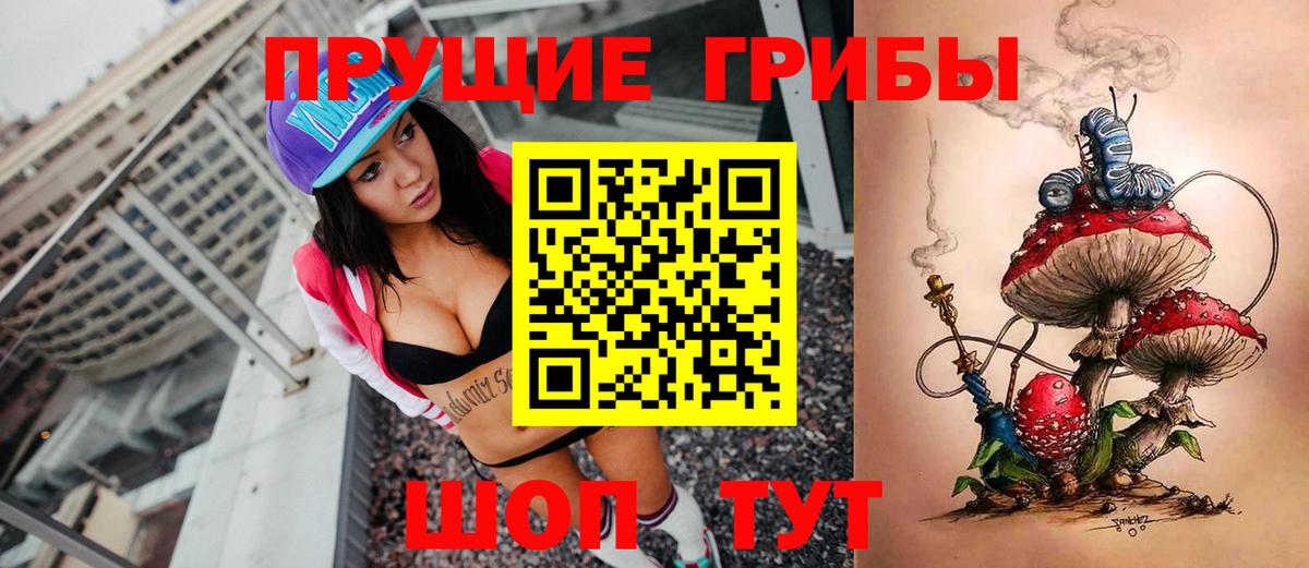 Псилоцибиновые грибы Psilocybe Пенза