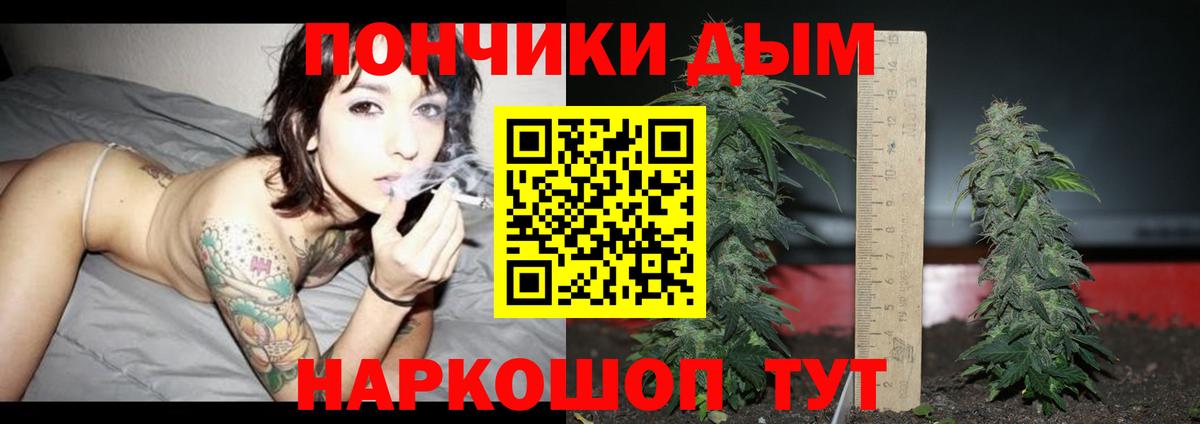 Шишки марихуана конопля  Шишки марихуана марихуана  Канабис индика  Вход с VPN  Пенза 